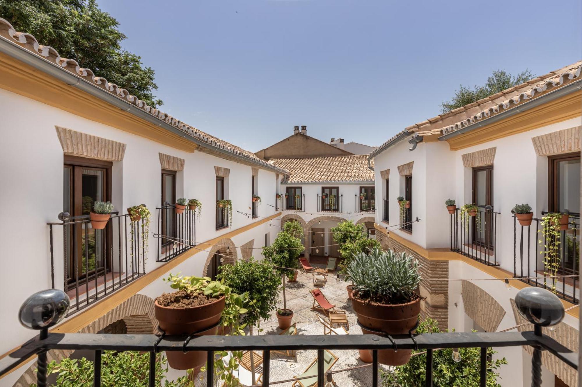 Cats Hostel Cordoba